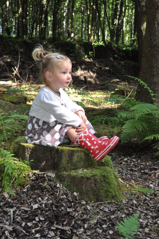 Wondering About Wildlife at Stackpole Woods