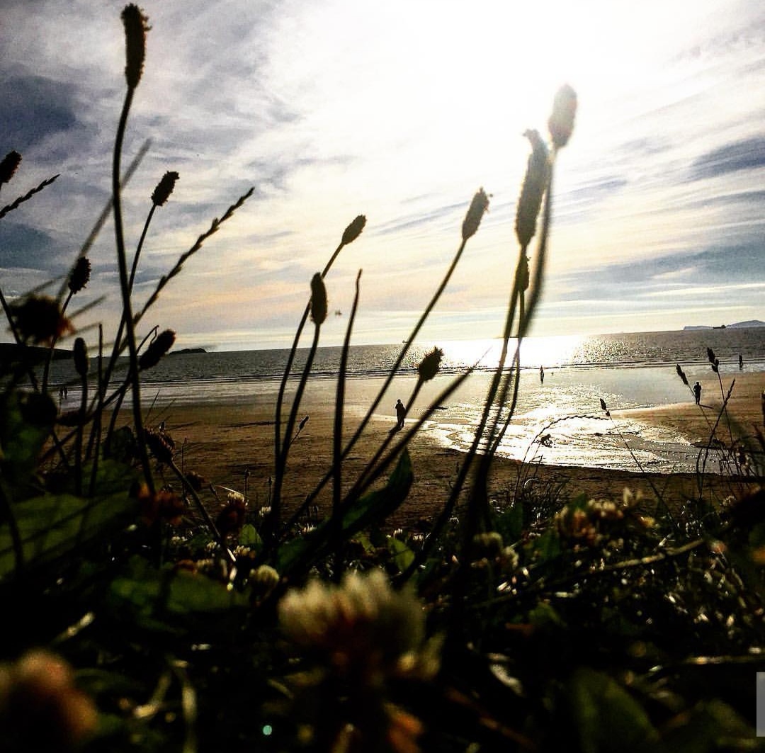 Flowers on the beach