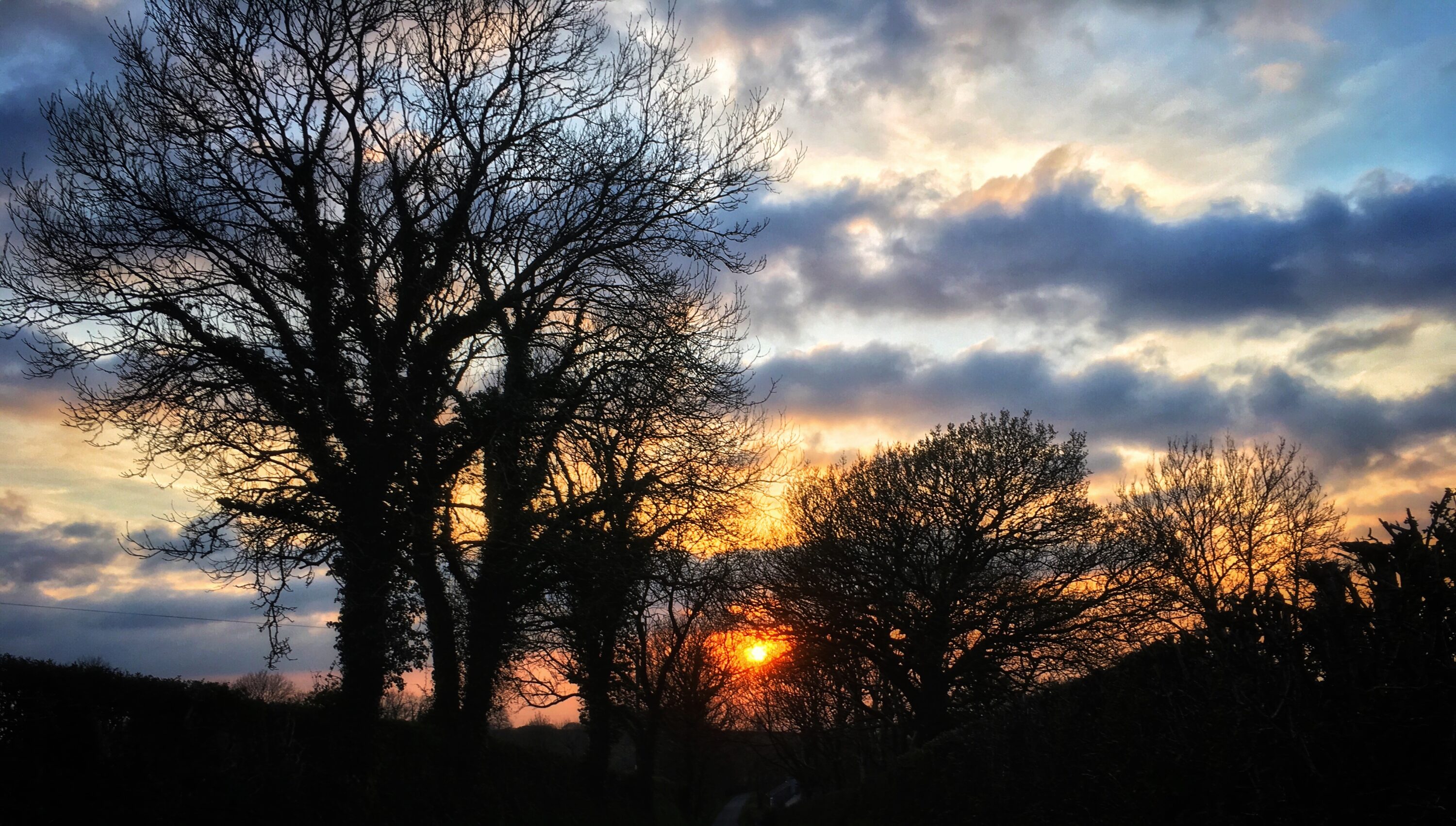 Sunset through the Trees