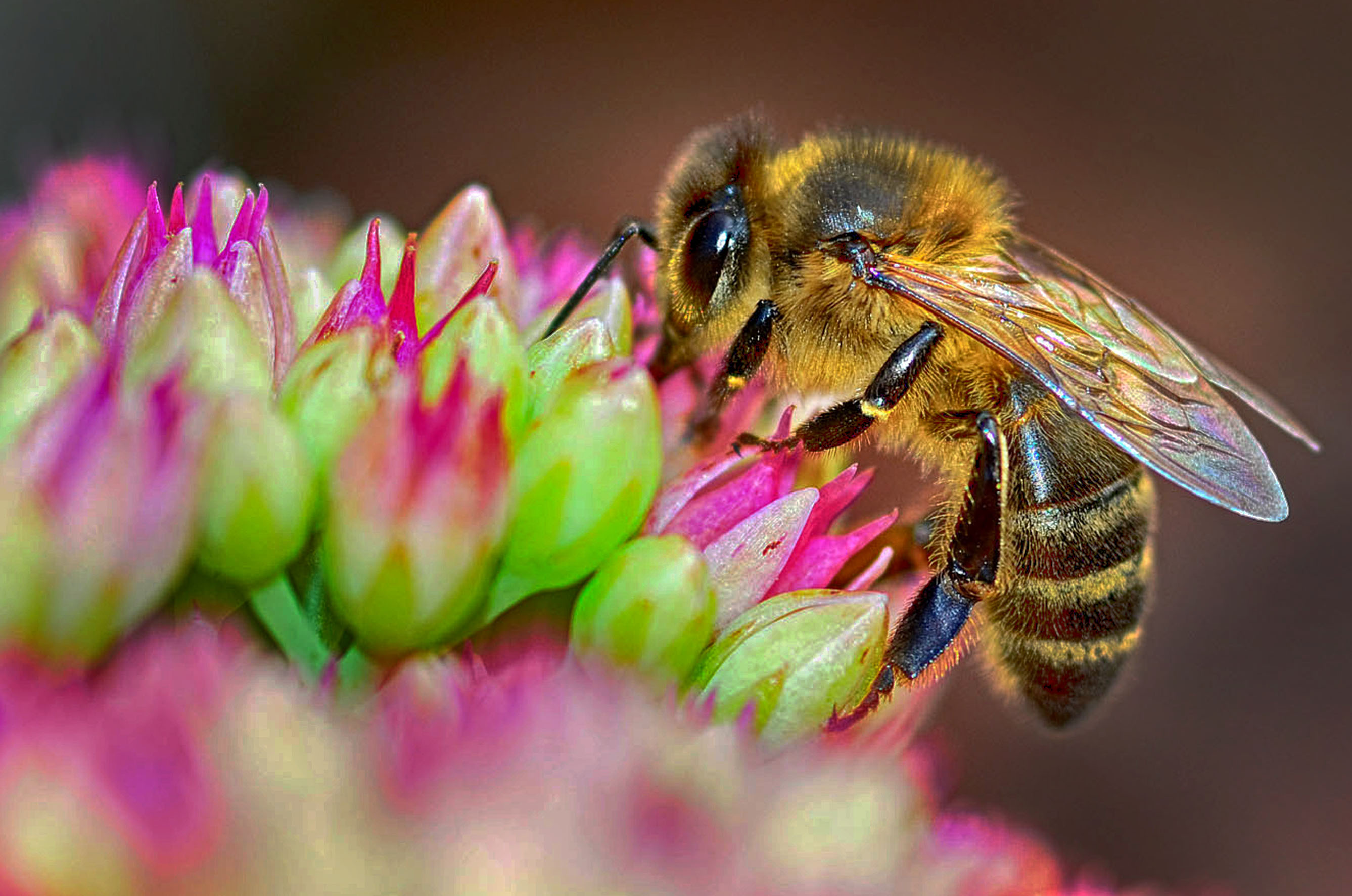 Bumbling Around