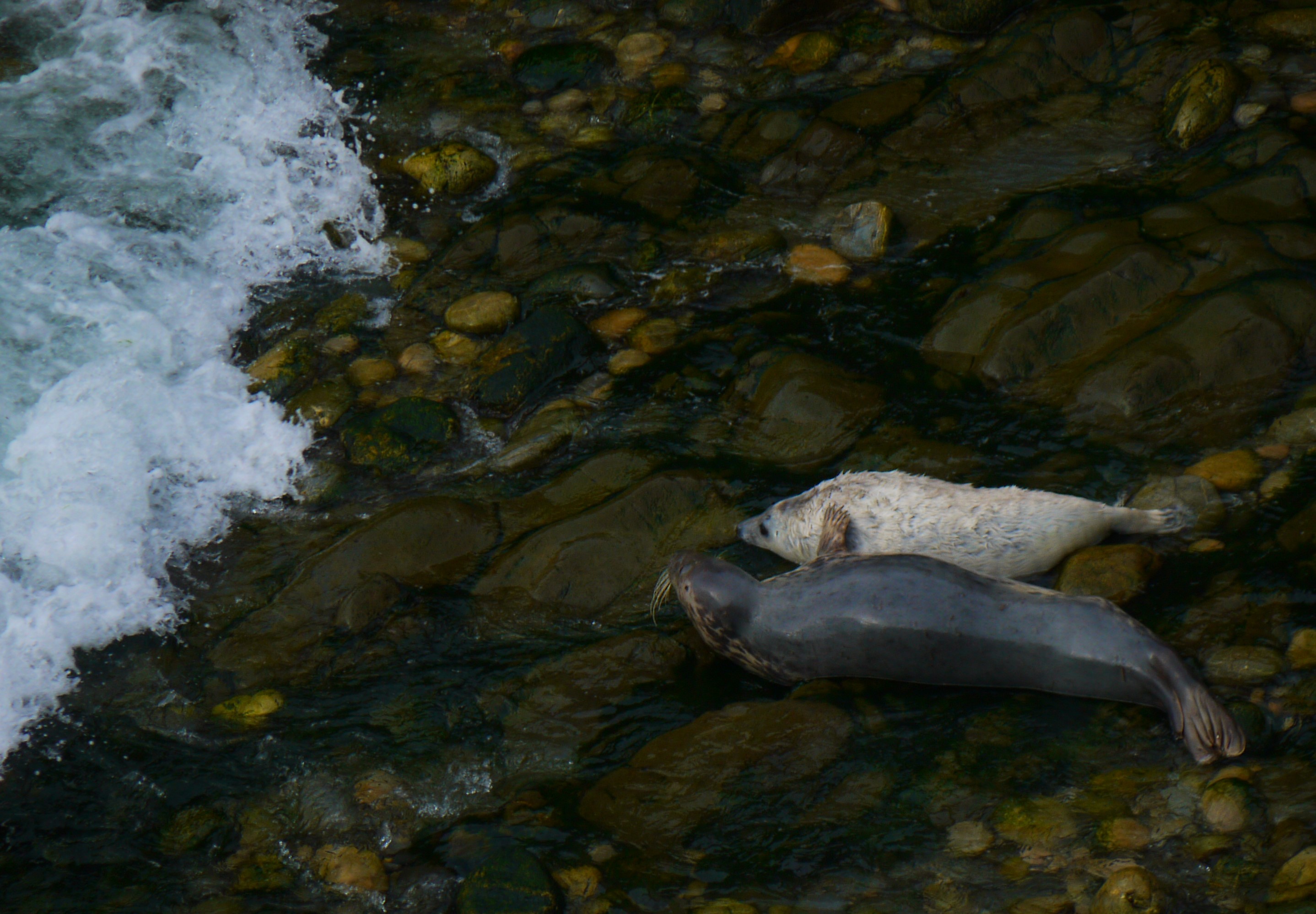 First Day of School can be Frightening