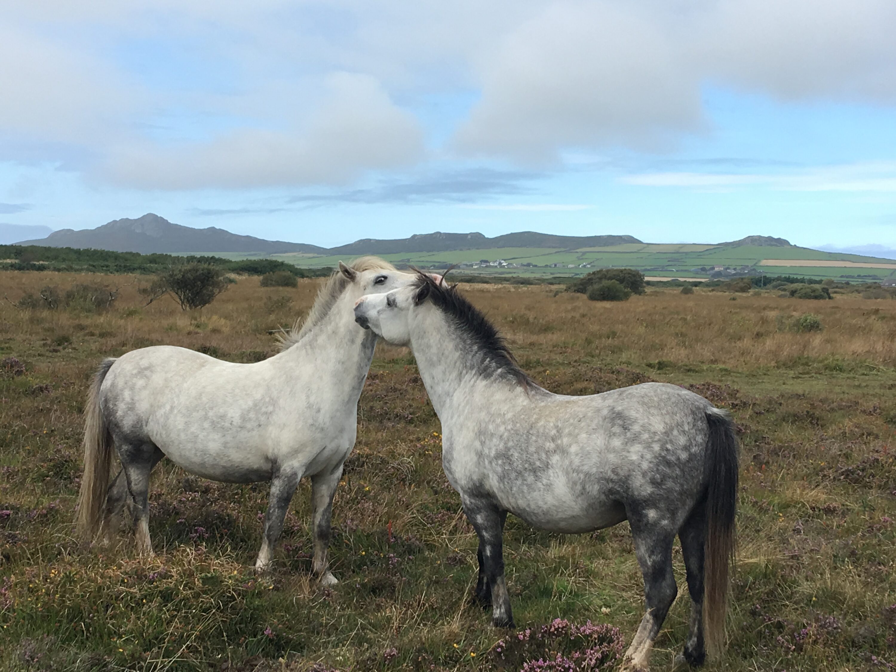 I'll tell you a secret