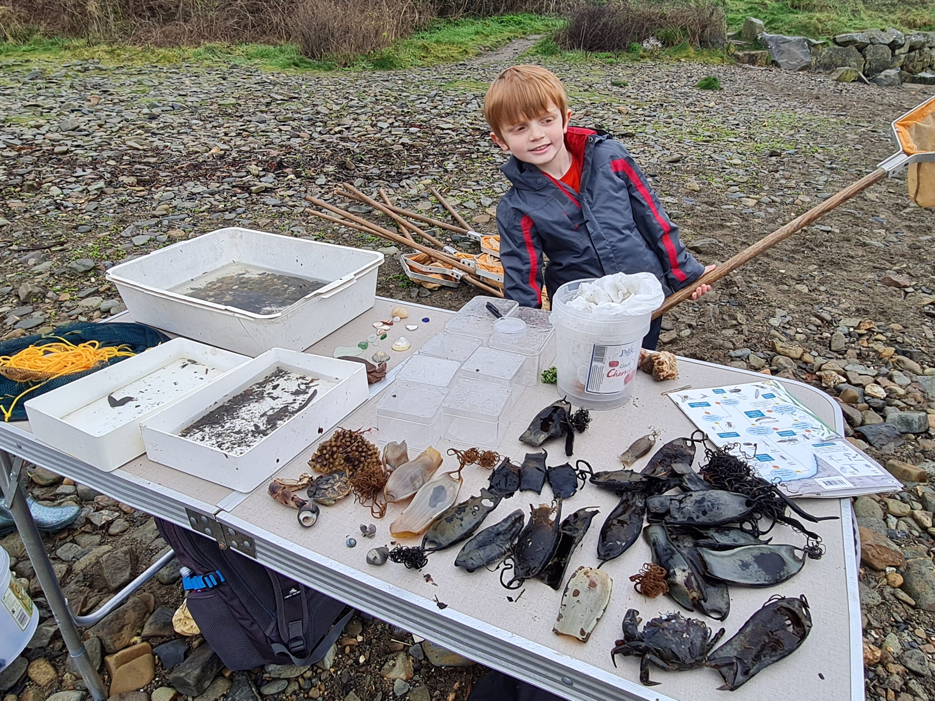 Helping mermaids find their purses