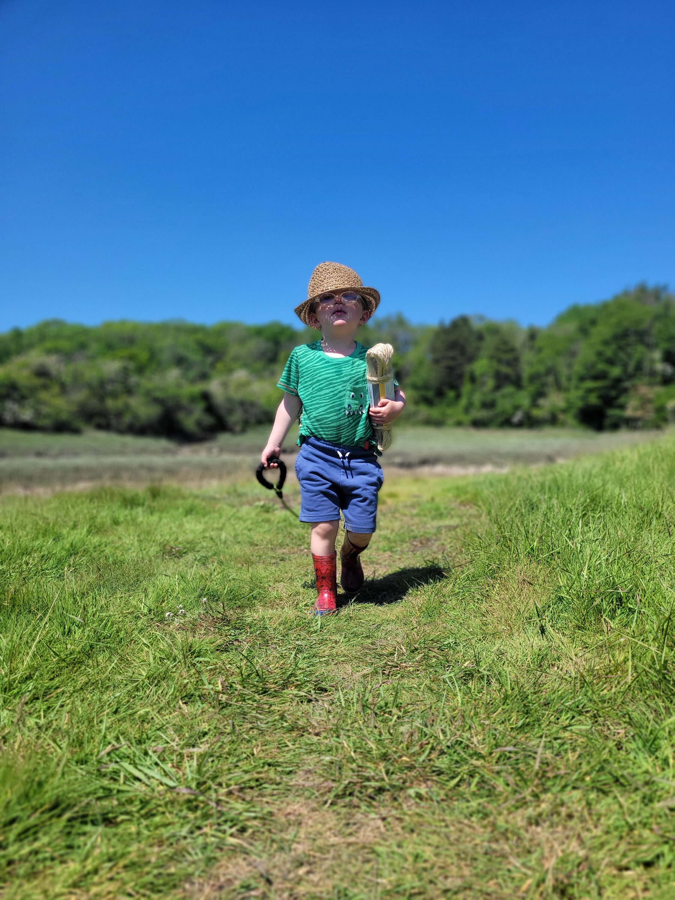 A Pembrokeshire Childhood