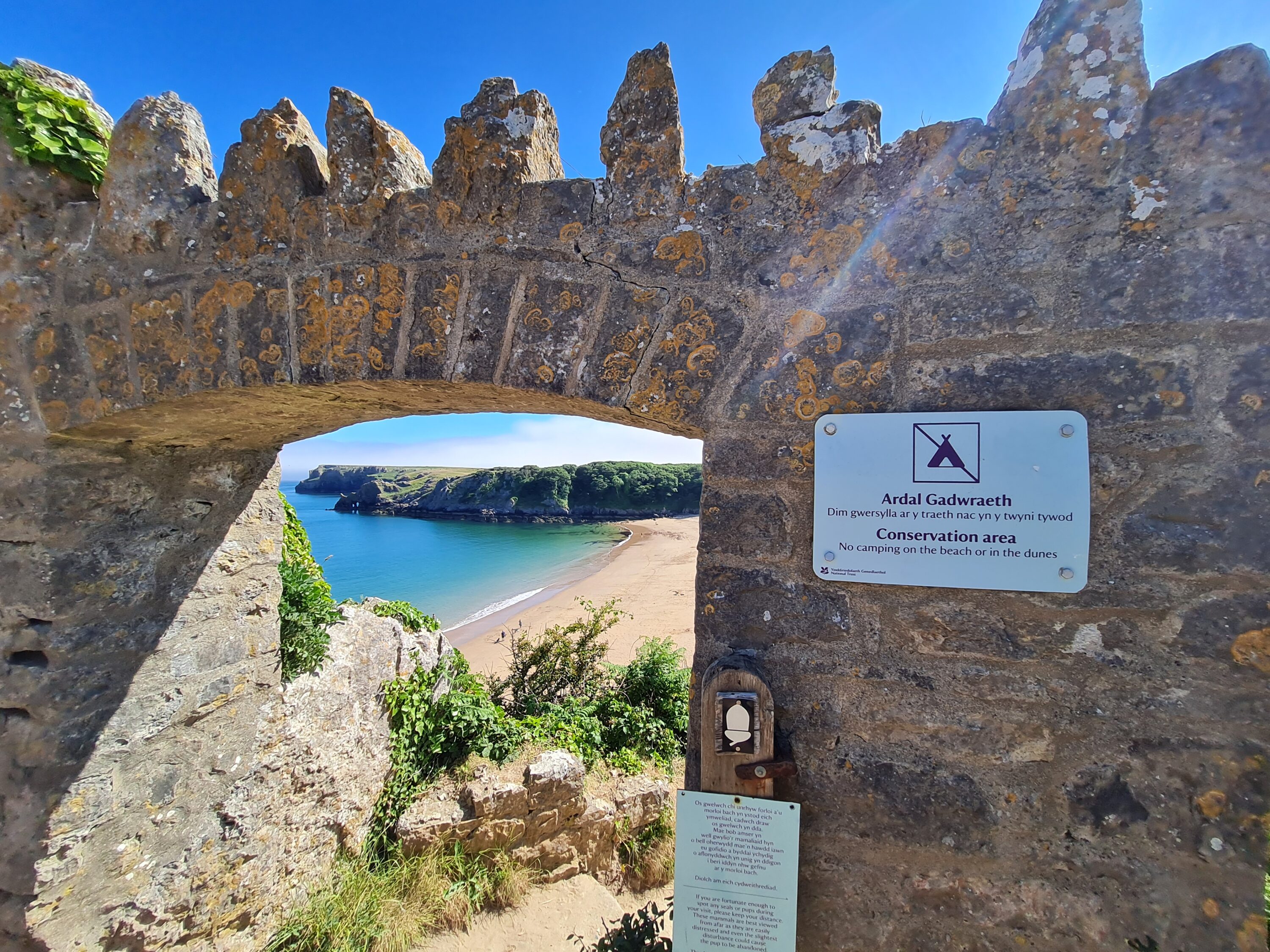 Conserving our finest