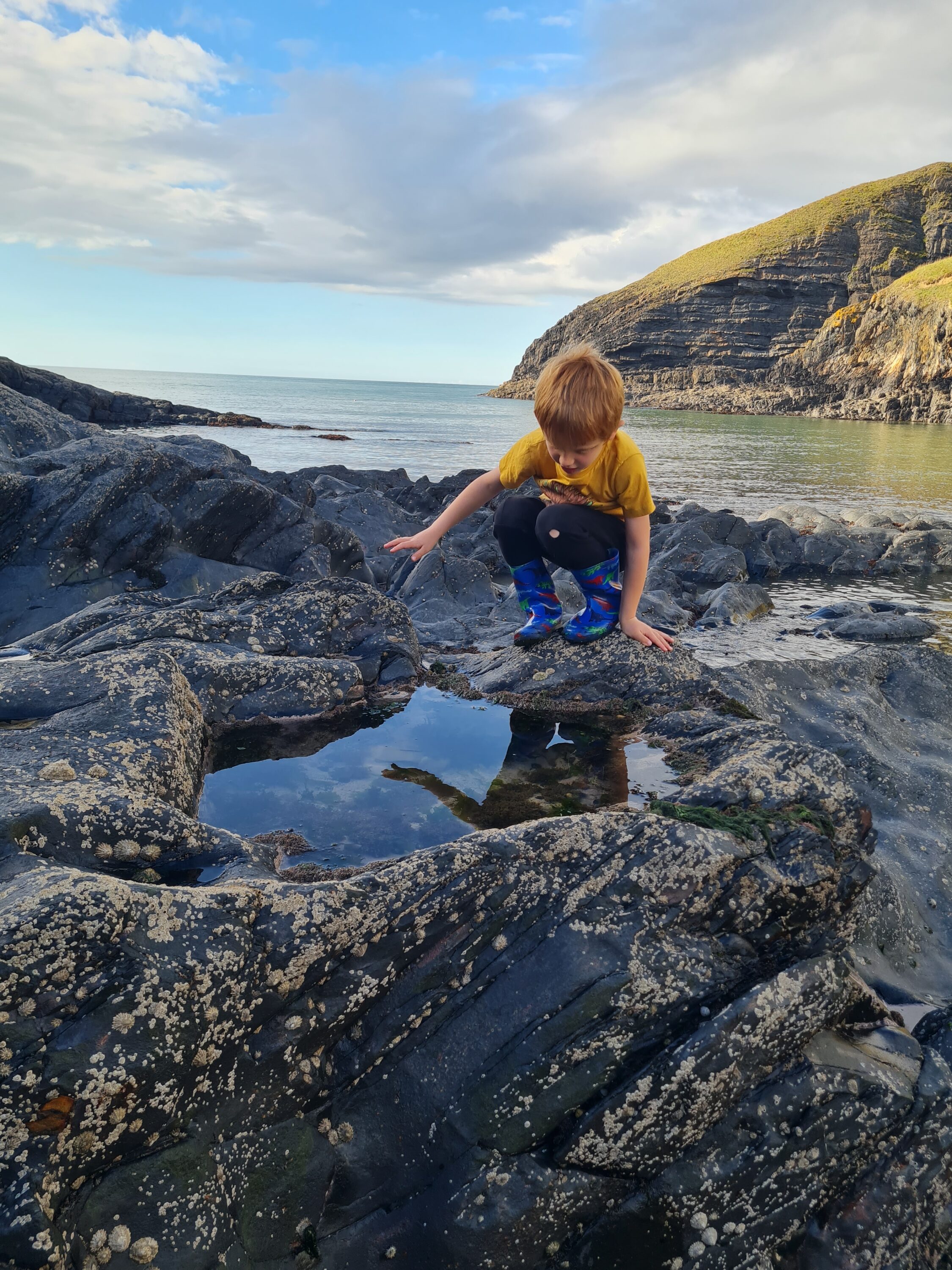 Looking for sea monsters