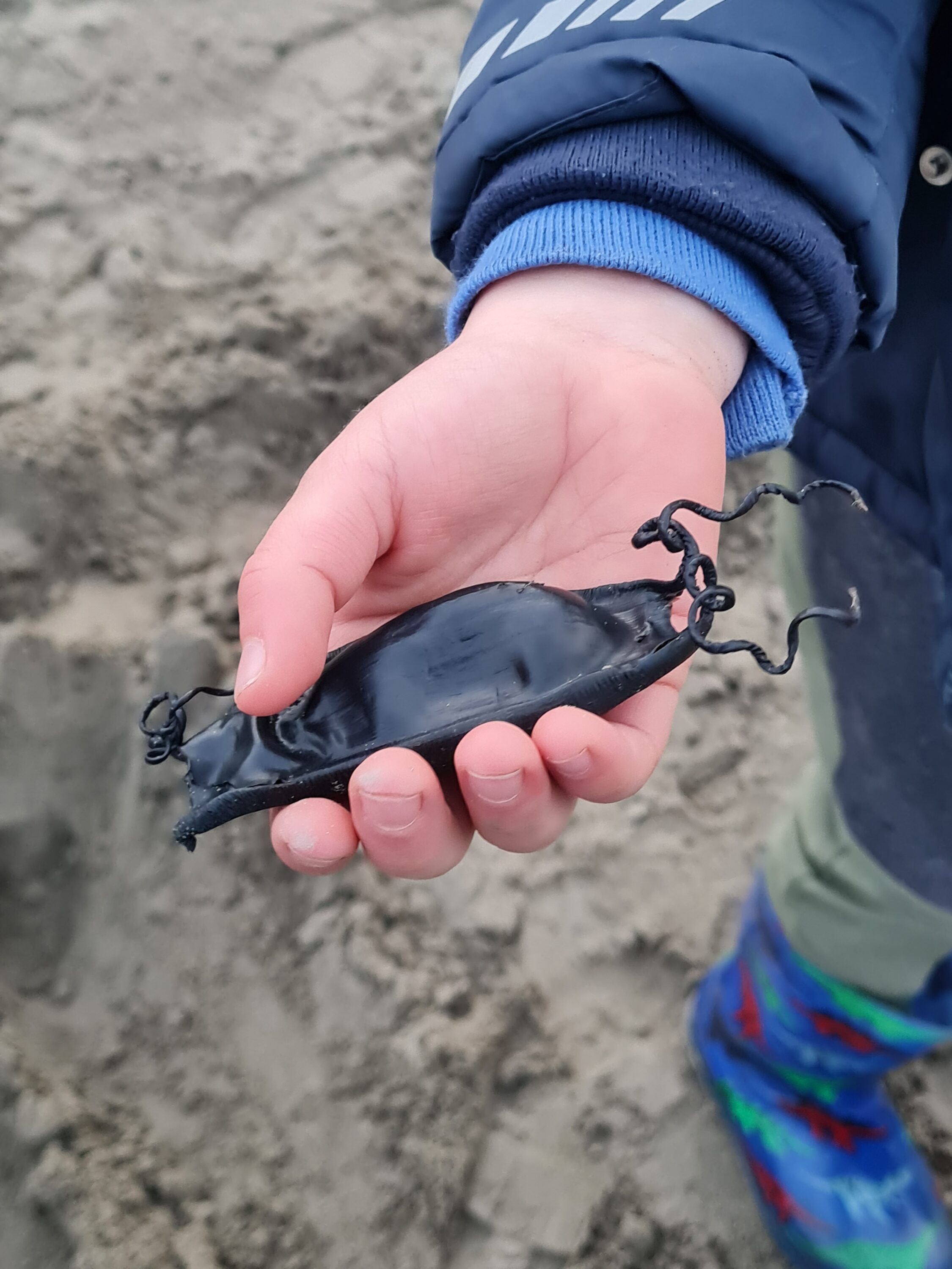 Finding nature's treasures