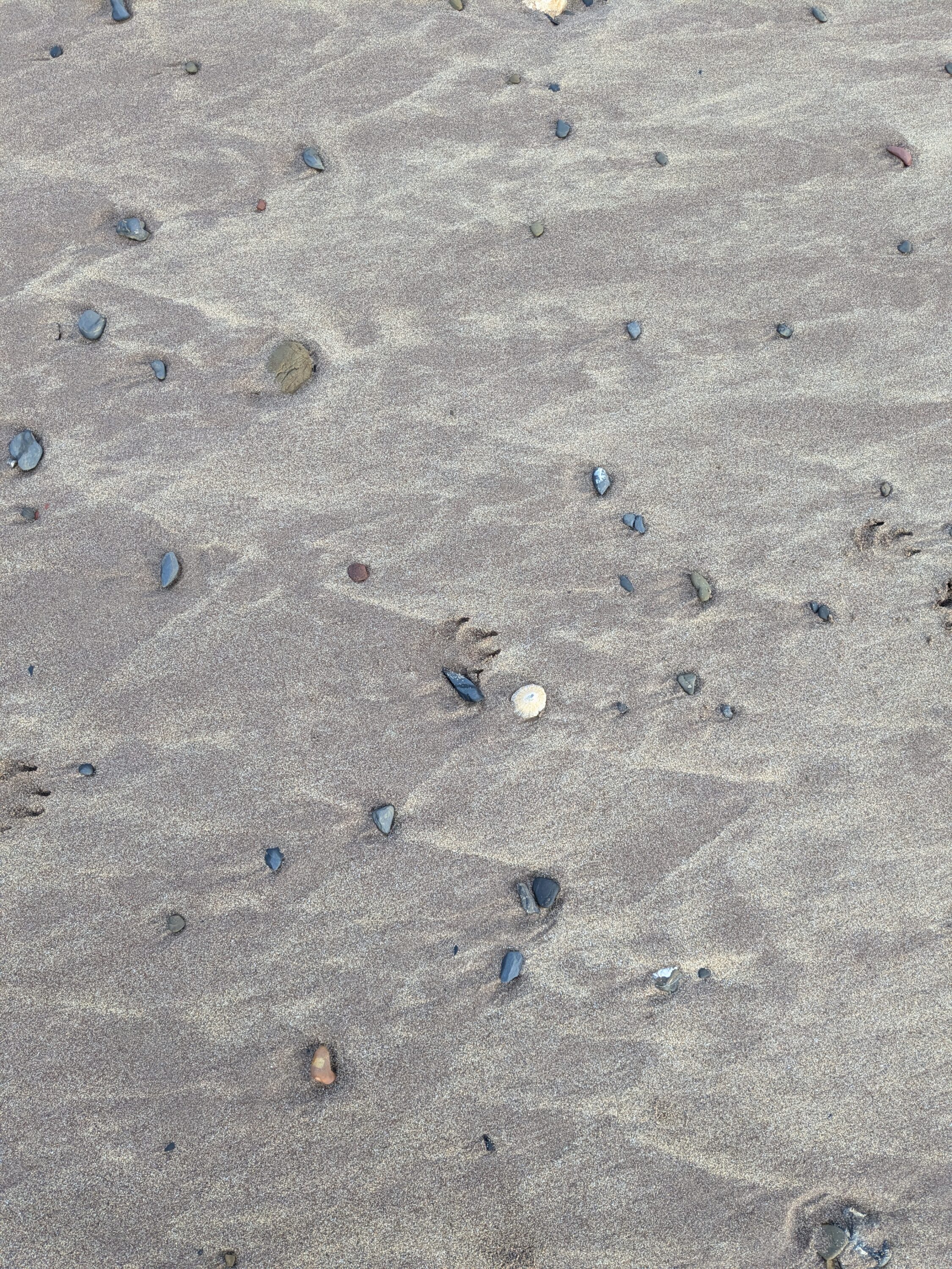Sharing the Sand