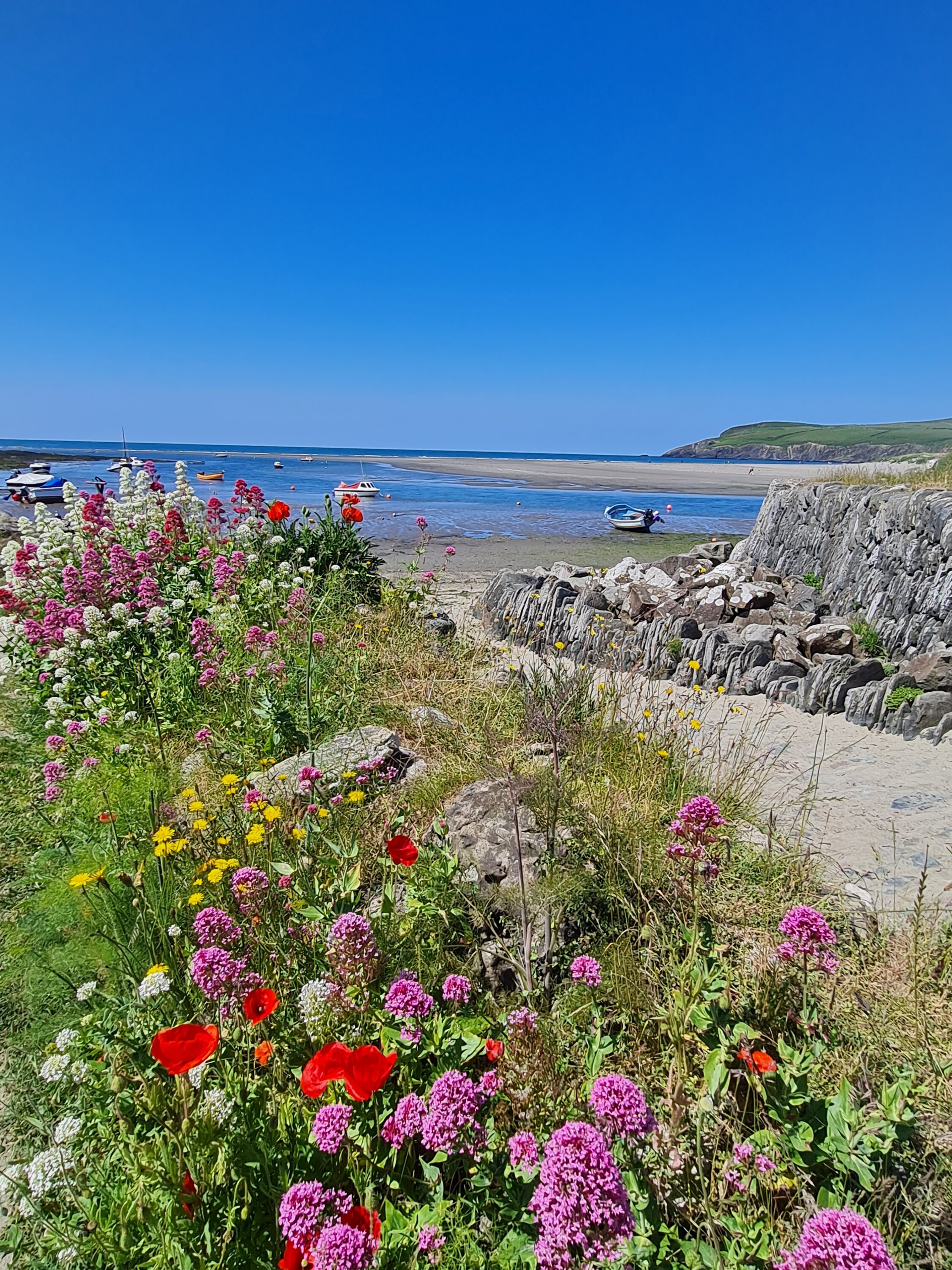 Picture postcard Pembrokeshire