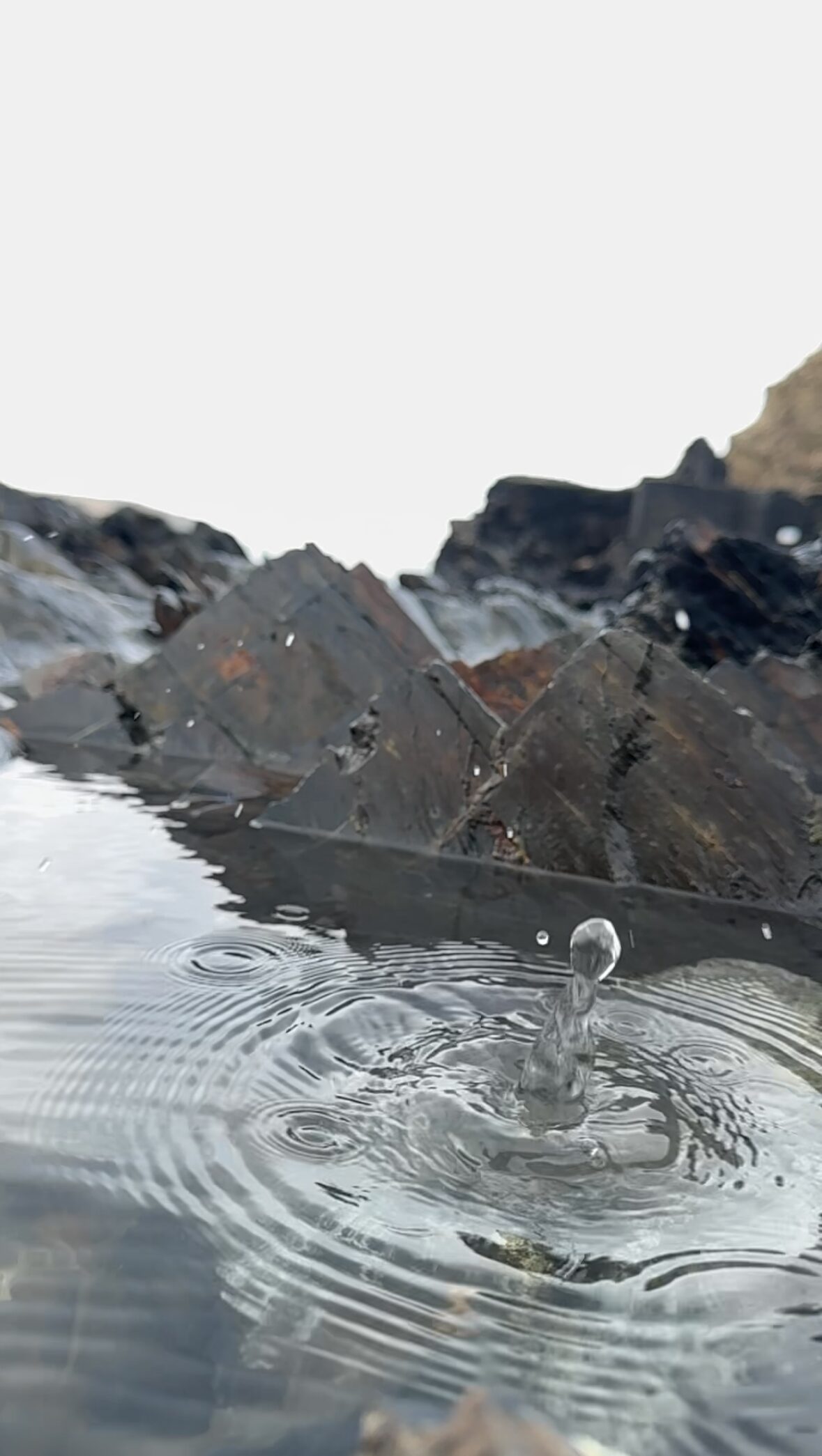 Splash