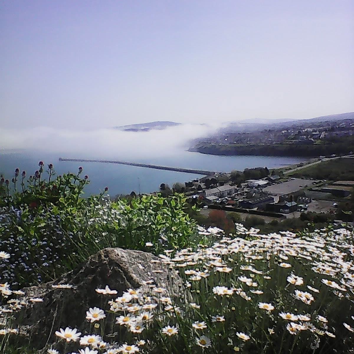 Sea mist over Fishguard harbour