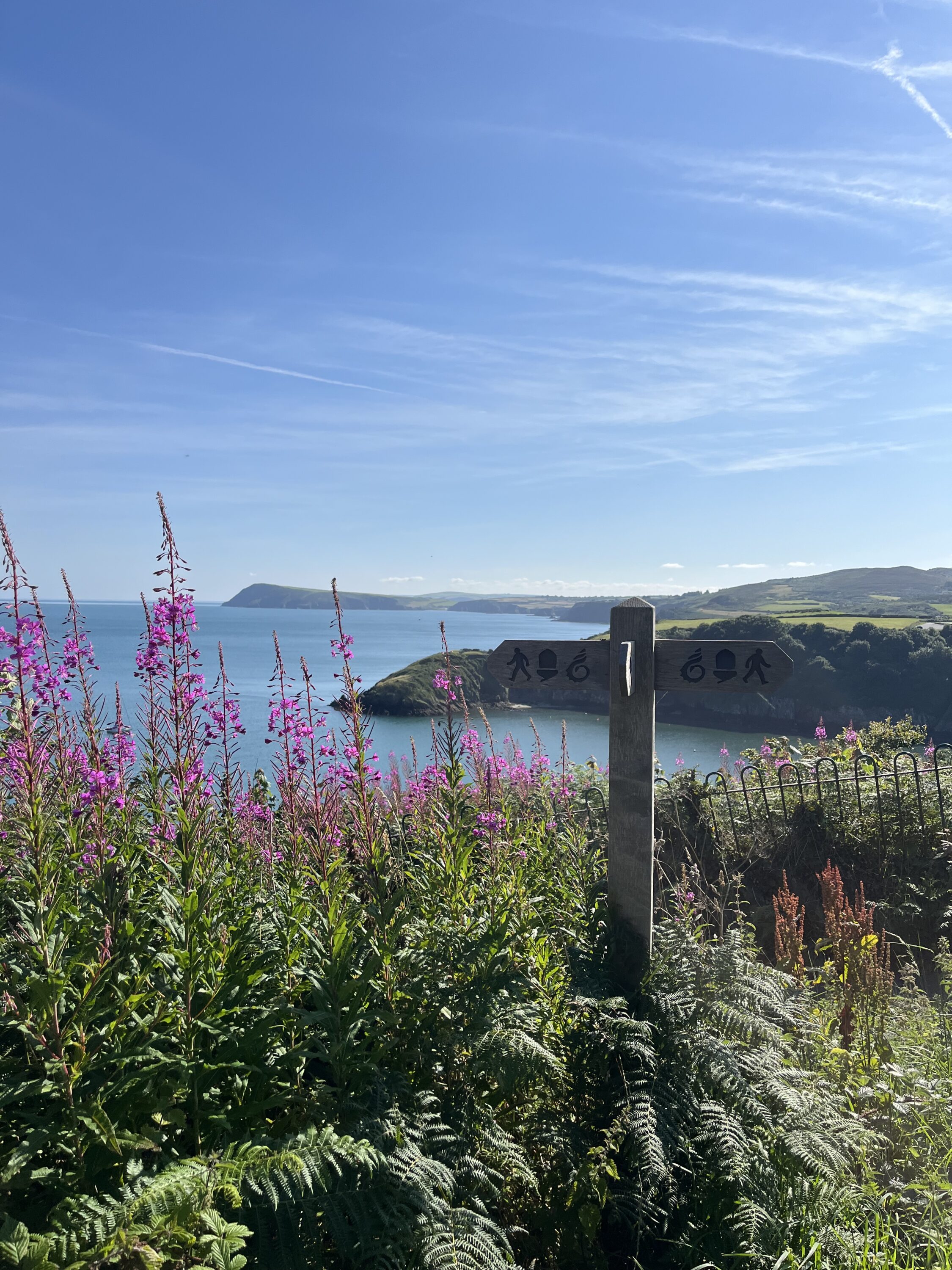 From the marine walk, Fishguard