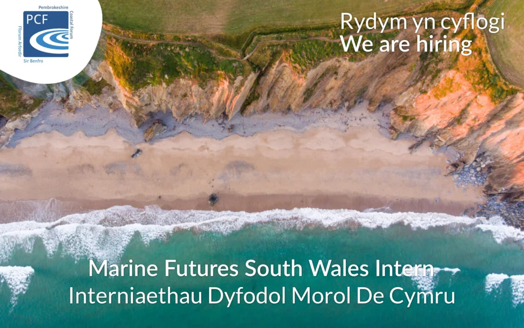 Marine Futures South Wales Internships x 2