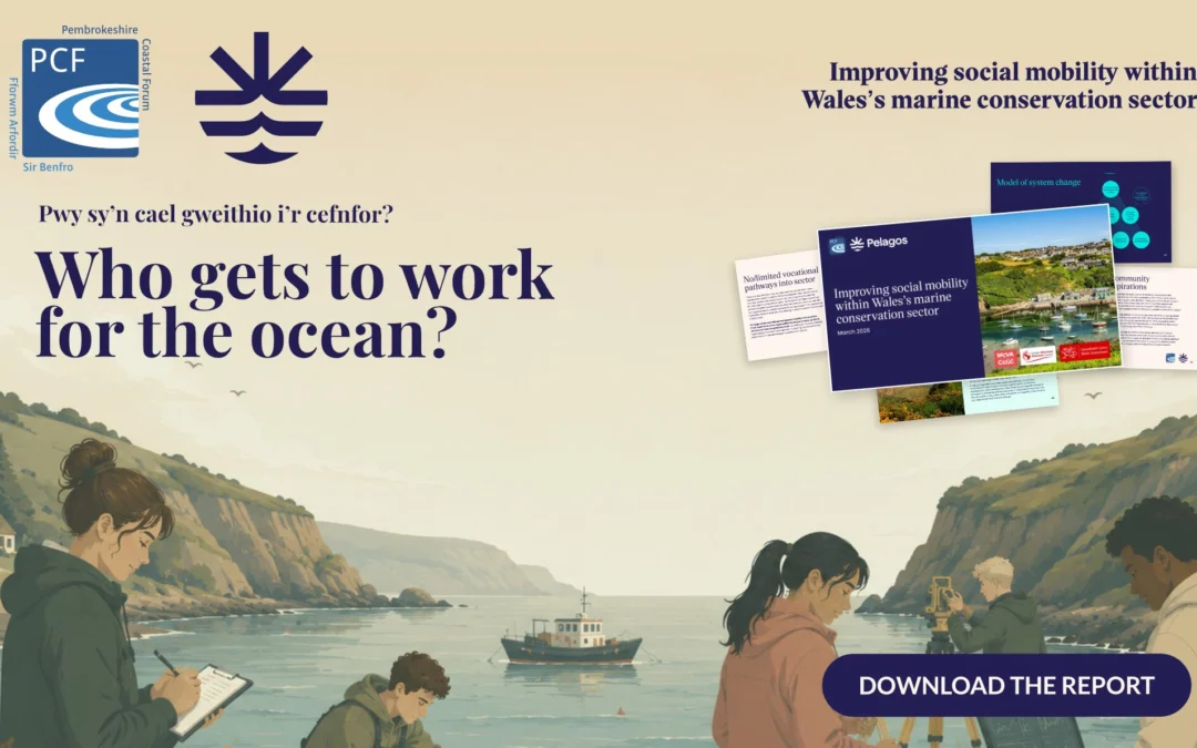 New Report Explores Social Mobility in Wales’s Marine Conservation Sector